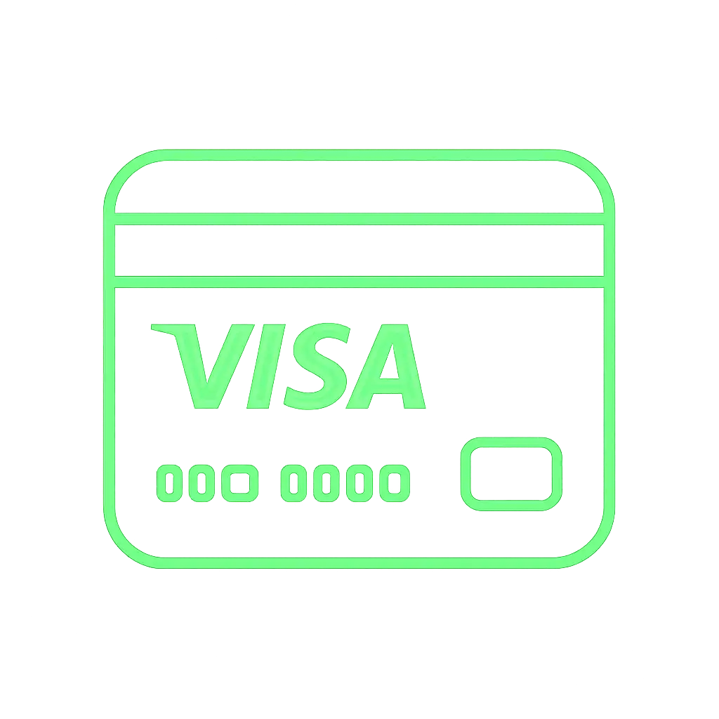 Visa payment icon